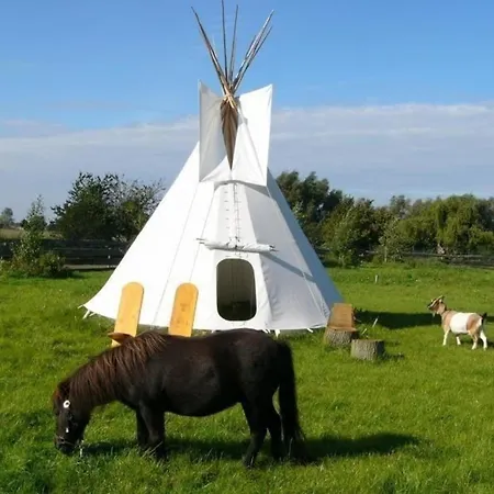 Gemuetliches Holzhaus Auf Einer Im Western-style Semesterbostad